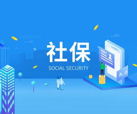 成都武侯区全国代理记账机构管理系统官网政策法规