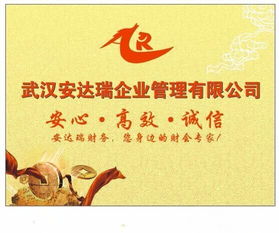 图 效率公司注册,信用代理记账 武汉会计审计