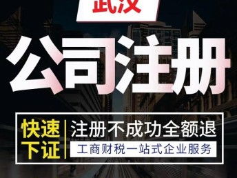 图 蔡甸区公司注册 代理记账 一对一诊断 武汉工商注册